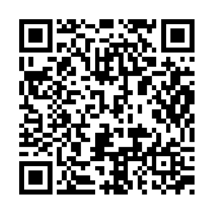 必是感应到破丹结婴的剧烈能量波动会引来天劫二维码生成