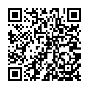 必然是因为铁柱获得血脉传承中有阵纹这方面的内容二维码生成