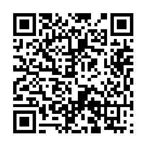 必须低低伏跪着方显自身卑微与对晋王殿下的恭敬二维码生成