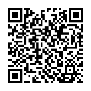 必须保持真秘四象剑阵不散才能够拥有九星圣级的sudu二维码生成