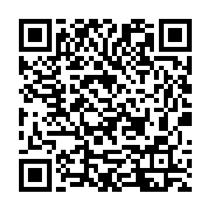 必须完成每周至少一次的扫荡避难所附近魔物的任务二维码生成