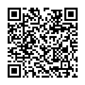 必须定在五行吾素那张新专辑发行之后的一周之内二维码生成