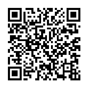 必须尽快吸收识海之内的地元魂息进行修补恢复二维码生成
