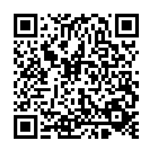 必须得再死亡之海开辟一条接引之路……这条接引之路二维码生成