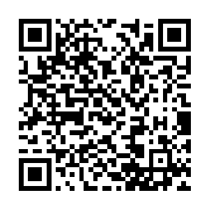 必须得归功于郭柏和白蔹这些年来积累下来的名声二维码生成