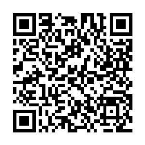 必须抓住这个机会扩大我党在东部经济发达省份的影响二维码生成