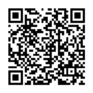 必须相应的承担配合四大宗派和猎海联盟防守海族和海兽的义务二维码生成