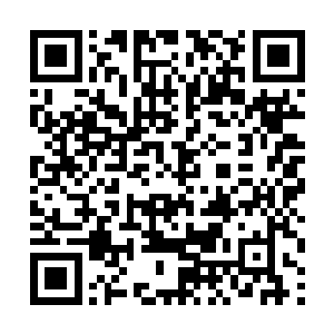 必须要让威宁侯府主动提出早日迎娶顾采蘋过门才行二维码生成