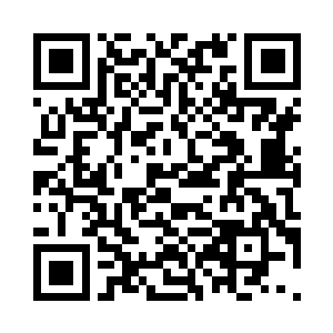 必须要进阶二阶炼丹师才有资格学习二维码生成