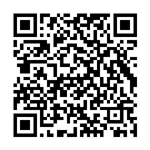 必须要那种完全浸泡在痛苦和绝望中的灵体才效果最好二维码生成