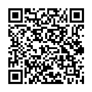 忍不住代表所有好奇心都快爆炸的抵抗战士们发问二维码生成