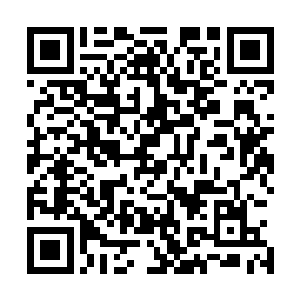 忍不住多看了几眼那只黄凤凰后才敛神正色看向身旁的时候二维码生成
