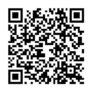 忘了通过九焰天火塔契约的妖兽会被九焰天火塔改造么二维码生成