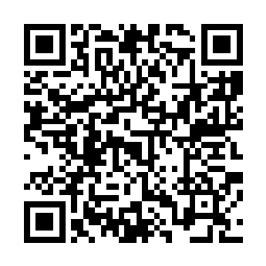 忘却对他牵肠挂肚的奶奶忘却我这个从没见过他一面的女儿二维码生成