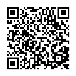 忘我状态中的苗毅只怕都忘了自己来到荒古死地已经足足一年了二维码生成