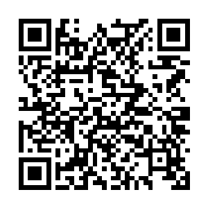 忘记了那个有电有互联网有文明的地球人类文明了二维码生成