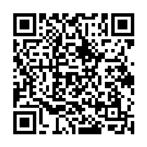 忙一窝蜂地挤过来看了看这个犹在懒懒打着呵欠的三宝二维码生成