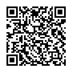 忙着就要带我和长生去警察局先观察二十四小时再说二维码生成