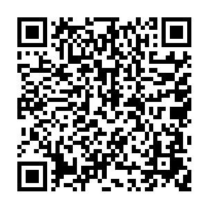 忙碌的把掉落在幽谷中央的灵兽尸体捡到驻地建好的一间木屋里堆积起来二维码生成