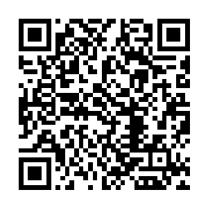 忙空出一只手朝前一伸就重重的捂住了这鬼重瞳子的嘴二维码生成