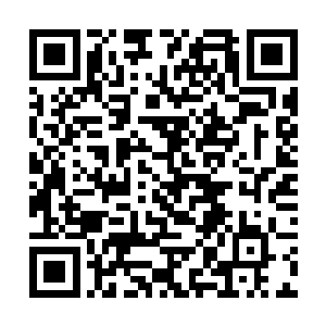 忙装出沉稳的样子让那几个弟子将那中年妇女抬回去二维码生成