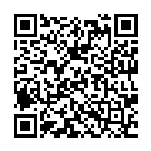 忠勇侯府的藏书阁自然是数百名一等一的护卫把守二维码生成