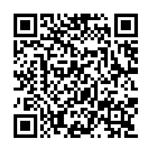 忠叔故意表情夸张的认真在张铁身上打量了一圈二维码生成