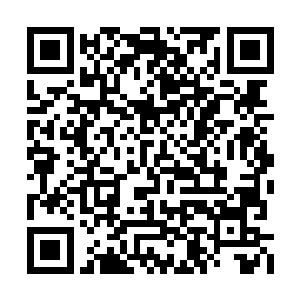 快……你快去拦住他……不能让他去找王爷……二维码生成