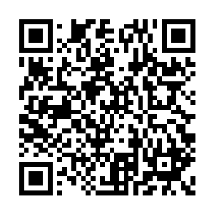 快到正在战斗的妖王们甚至没有发现这里的变化二维码生成