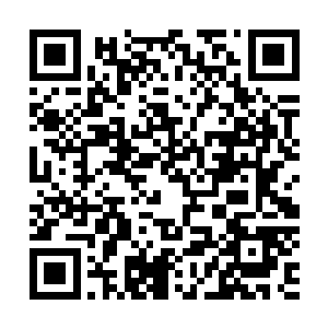 快到连在张铁身边的白素仙都没反应过来一切就已经结束了二维码生成