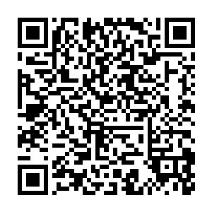 快如一道闪电徐文达的后背狠狠撞在了包厢内贴着金色墙纸的墙壁上二维码生成