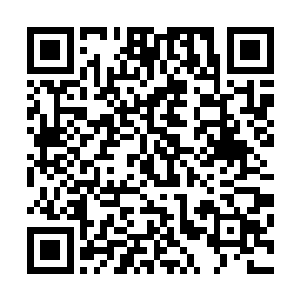 快要崩溃了虽然医生一再跟他保证言左左只是短暂缺氧所致二维码生成