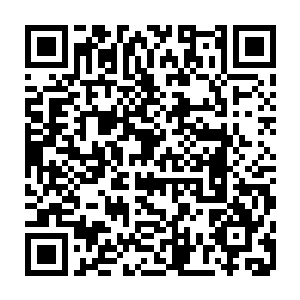 快触碰到的时候光茧上突然激射出一股更为醇厚的妖力就直接反击颜洛儿二维码生成