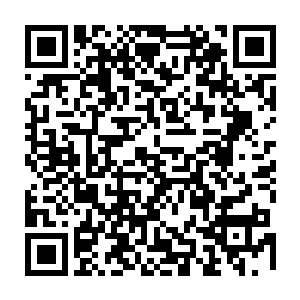 快速地将脑海当中八大山人朱耷从小学习的那些写诗作画的传承记忆都过了一遍二维码生成