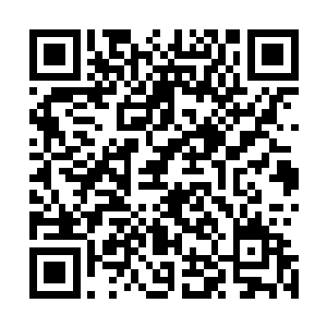 快速的灌入到那个被他抱在手中的那个年轻的异族骑士口中二维码生成