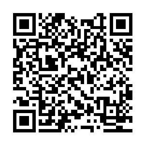 快速的闪身接着一脚踢向洞窟中央还在发愣的瘦子二维码生成