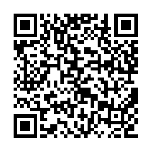 念念甚至看到她腰侧有两块肉被硬生生的削掉的二维码生成