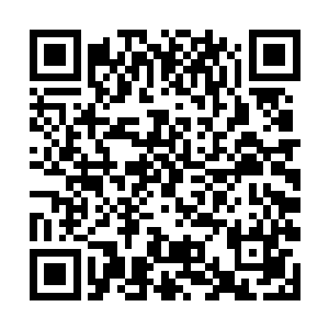 忽注意到林安捧着的文件夹封面印有她名字武破九荒二维码生成