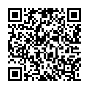 忽然一团不知从哪来的灰尘顺着风向洒到了脸上二维码生成