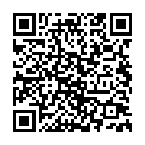 忽然一道土黄色的光芒也从通天峰上面散发出来二维码生成