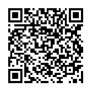 忽然一阵掌声和欢呼声把我从一时失神中拉了回来二维码生成