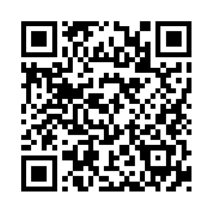忽然一阵电话铃声打断了玩的正嗨的池佳一二维码生成