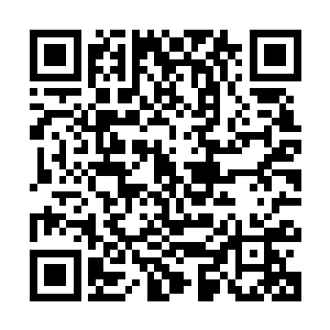 忽然从那血红和惨白两个空间通道门里突然传出了巨大的牵扯力二维码生成