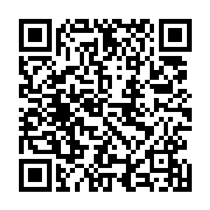 忽然发现他的手中不正是拿这一部看着很是眼熟的手机么二维码生成