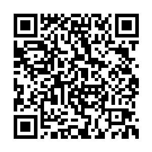 忽然发现枕头旁边似乎有个毛茸茸的蓝色小东西二维码生成