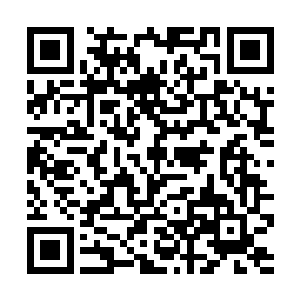 忽然她想起刚才鬼脸和自己说话随意有如旧识的感觉二维码生成