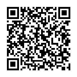 忽然将一个涂抹成彩虹色的大蛋糕朝楚之晓砸了过来二维码生成