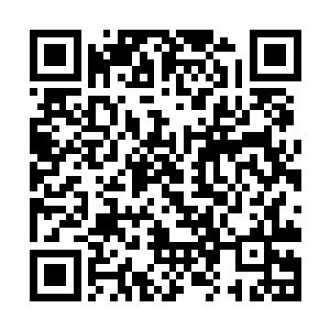 忽然心中生出一丝微微的酸楚来……天刀这话的语气二维码生成