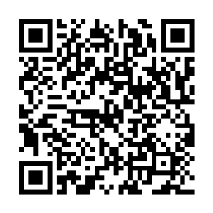 忽然感应到谷中竟然有淡淡的灵气从地脉之中透出二维码生成