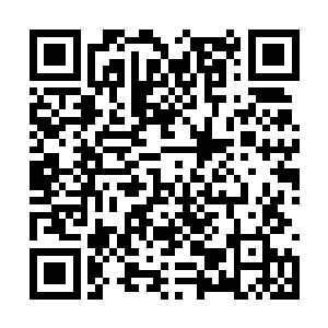 忽然我身上的腐蚀猛地不断从我脉络核心爆发出来二维码生成